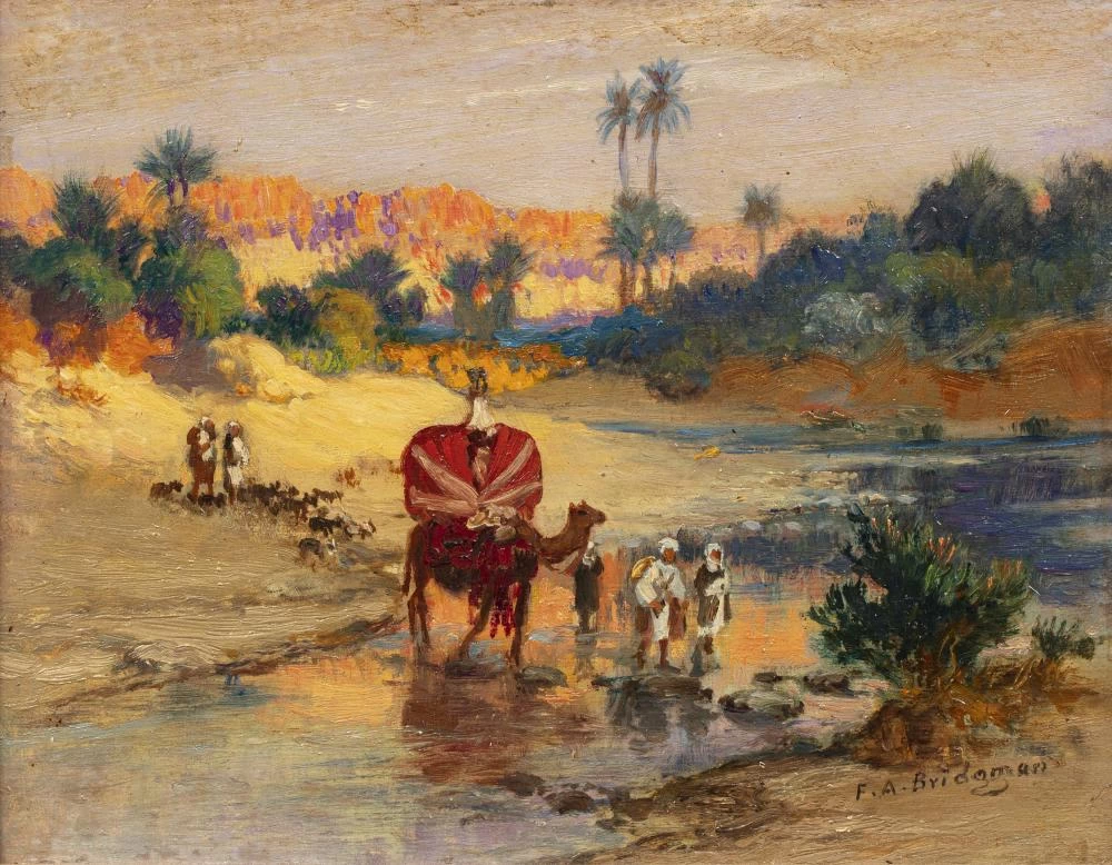 Il passaggio del wadi